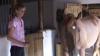 Horse selects essential oils