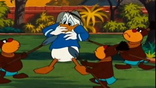Chip and dale Donald duck cartoons full episodes |interesting discoveries of friends  Old Cartoons