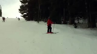 Ski Wipeout