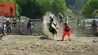 Huntly Rodeo, New Zealand 2009 - Bullriding 2