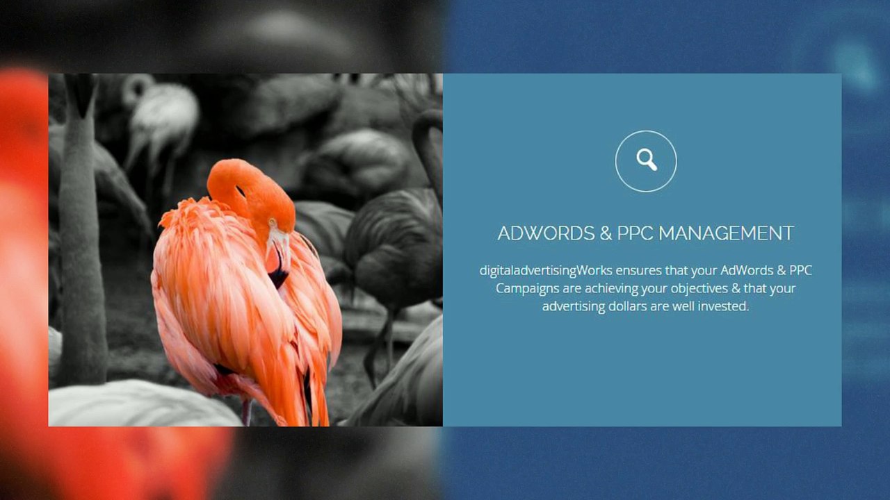 digitaladvertisingWorks