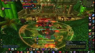 Zul'gurub tiger boss solo'd by chappie [DK]