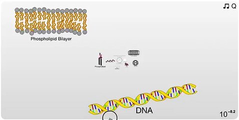 El Universo completo a escala