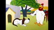 Looney Tunes | Daffy Duck Prank | Boomerang UK