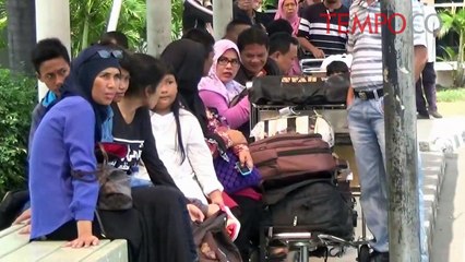 Demo Sopir Taksi, Penumpang Bandara Telantar