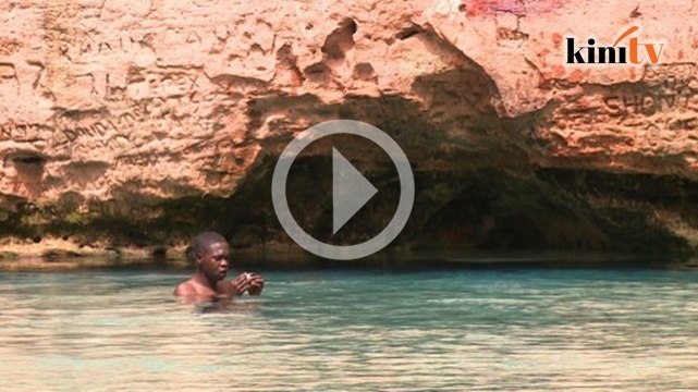 Pelancong bercuti ditemani haiwan di safari