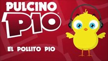 Video pollito pio