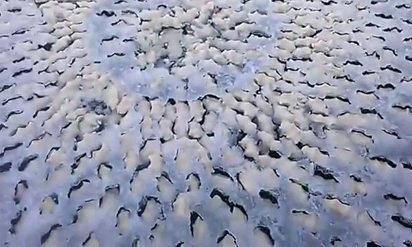 I Thought It Was Just A Strange Pattern In The Ice, But Then He Touched It And THIS Happened