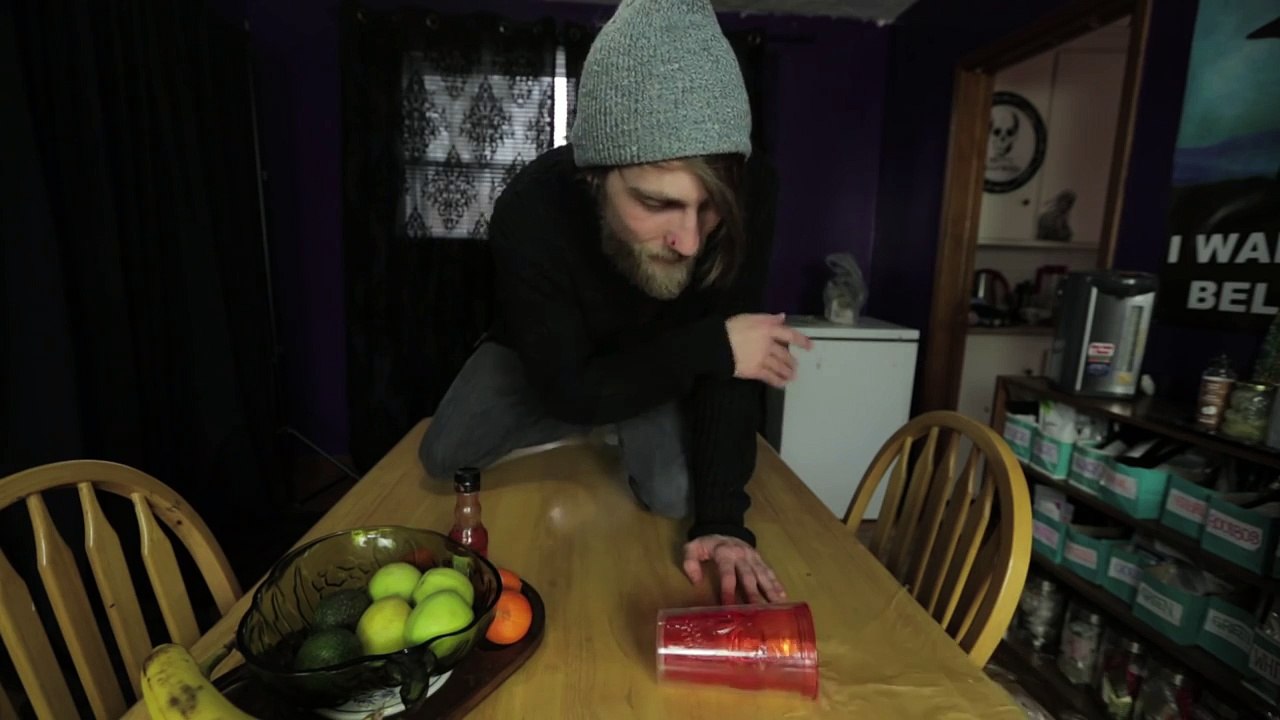 10 things I learned from my cat | MattG