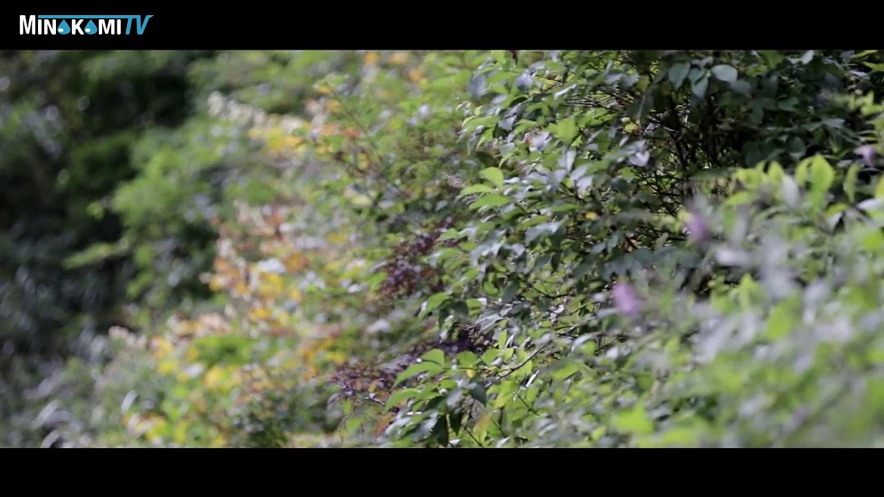 Minakami-machi , Gunma Prefecture , Japan "　Ichinokurasawa in Autumn "