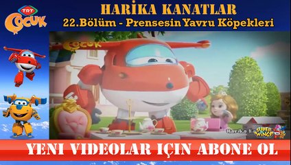 HARİKA KANATLAR 22 BÖLÜM PRENSESİN YAVRU KÖPEKLERİ