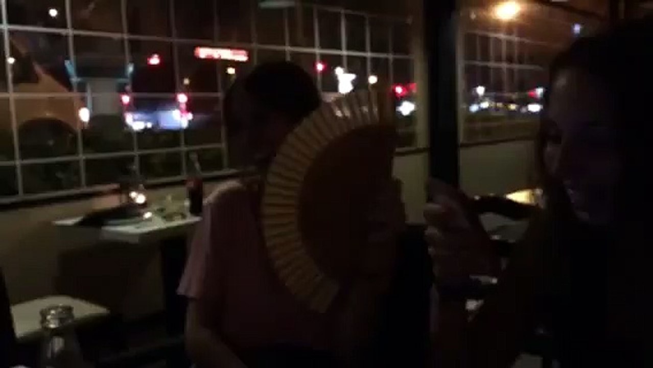 Lenguaje del abanico