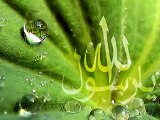Hazrat Muhammad (s.a.w.w) Subham'Allah