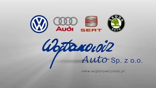 Wojtanowicz Auto Spot #1