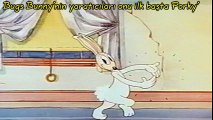 Bugs Bunny Hakkında 10 ilginç Bilgi  Bugs Bunny Cartoons