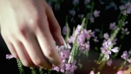 [Tam Thốn Thiên Đường] Nghiêm Nghệ Đan - Vietsub (HD)