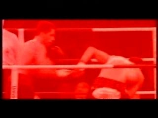 Enigma - Hello & Welcome