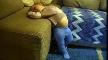 Dünyanın en tuhaf uyuyan bebeği Komik Videolar