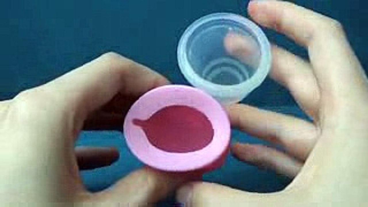 02. Lily cup vs Bella cup