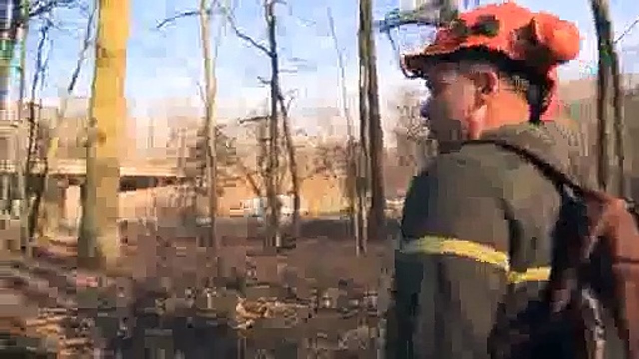 Forestiers par nature  Ouvrier sylviculteur bûcheron