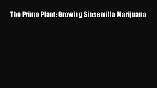Download The Primo Plant: Growing Sinsemilla Marijuana PDF Free