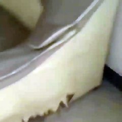 He got stuck chasing something