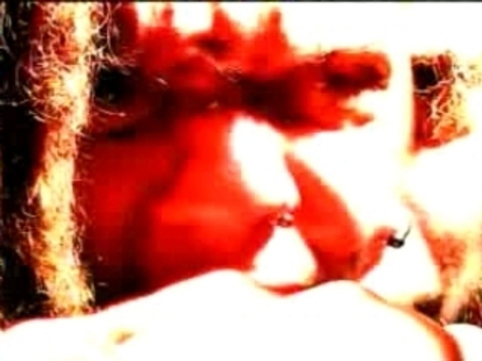 Chimaira : pure hatred