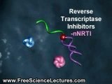 HIV Replication and Life Cycle