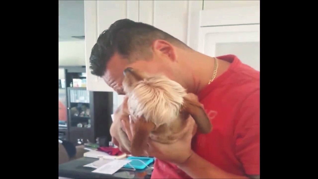 Un chien gonflable. Aller souffle dedans...