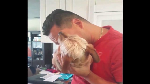 Un chien gonflable. Aller souffle dedans...