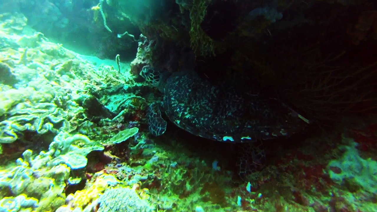 lembongan