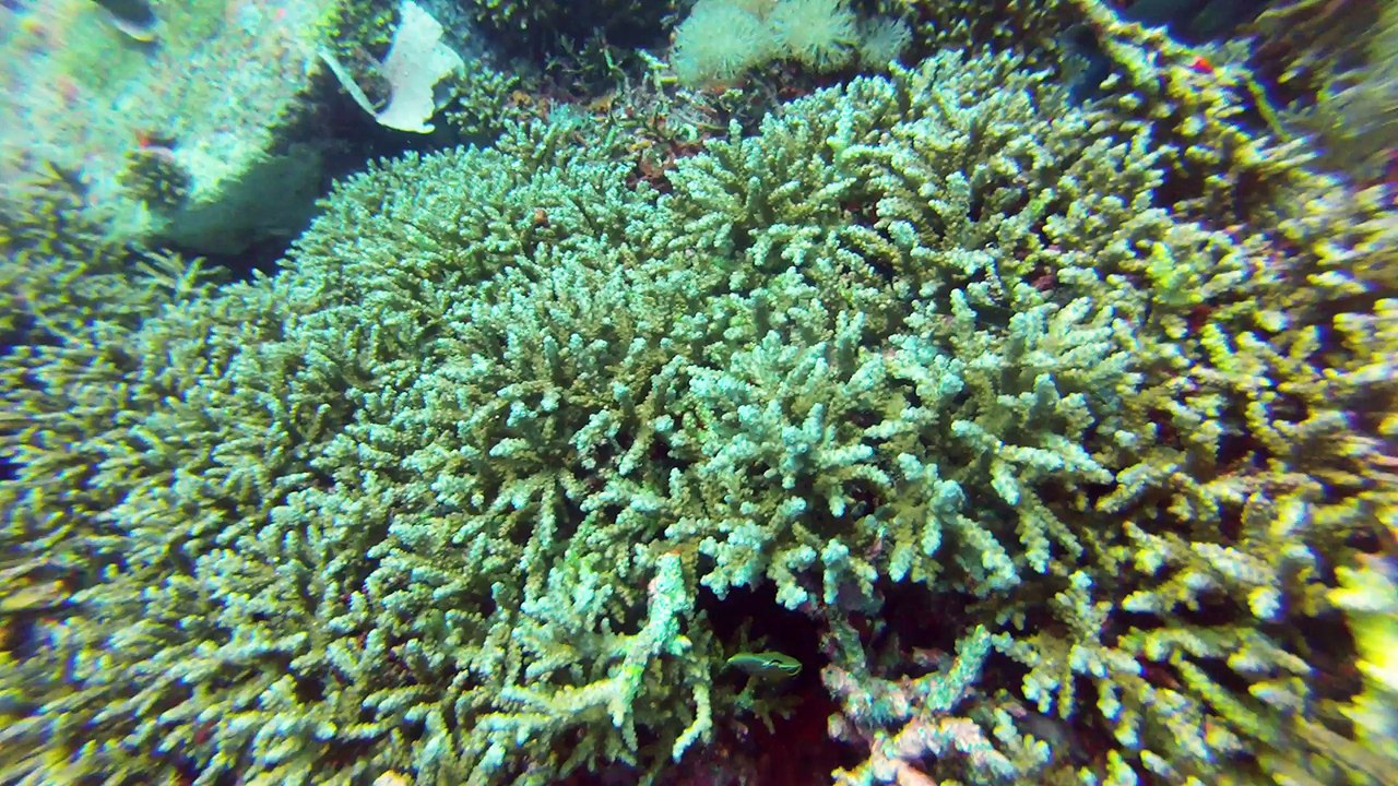 Gili Air