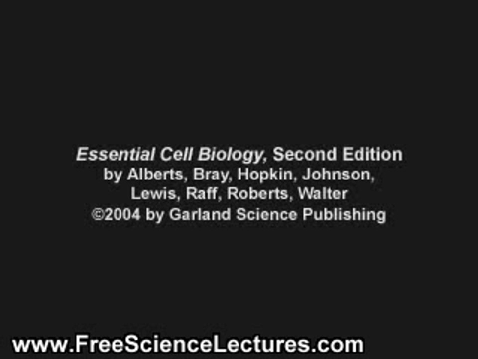 Neutrophil Chemotaxis