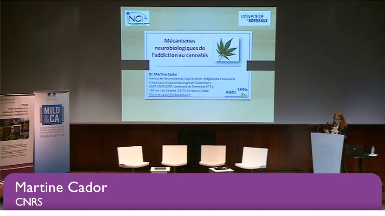 Colloque Jeunes et cannabis 11 février 2016 – Intervention de Martine Cador, PhD, CNRS