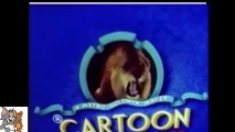 Tom And Jerry Tom And Jerry Cartoon Tom And Jerry Cartoon Full Movie Animation Movies  Tom And Jerry Cartoons