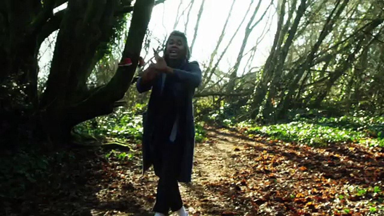 Dave B - Leaves Full
