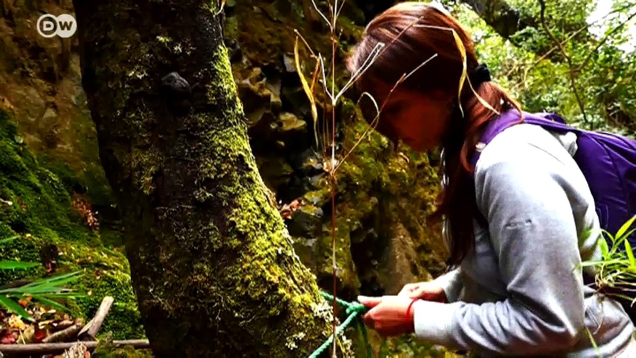 Nasenfrösche: Kampf ums Überleben | Wissen & Umwelt