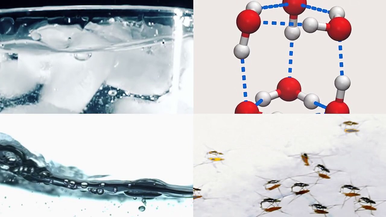 Quantum tunneling in the smallest water droplet