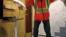Parrot Goes Crazy For Destroying His Cage
