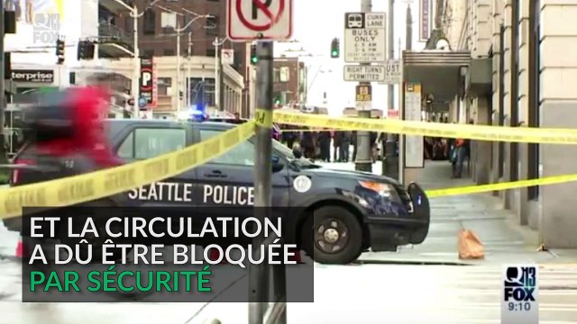 Il bloque le centre d'une ville en montant dans un arbre