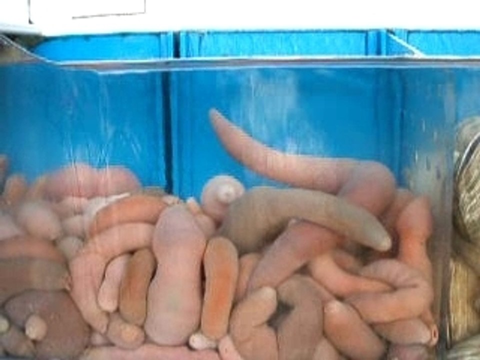 nourriture coree du sud