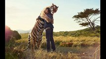 20 Super Cute Animal Hugs