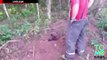 VIDEO- Un berger allemand est sauvé après avoir été enterré vivant durant deux jours