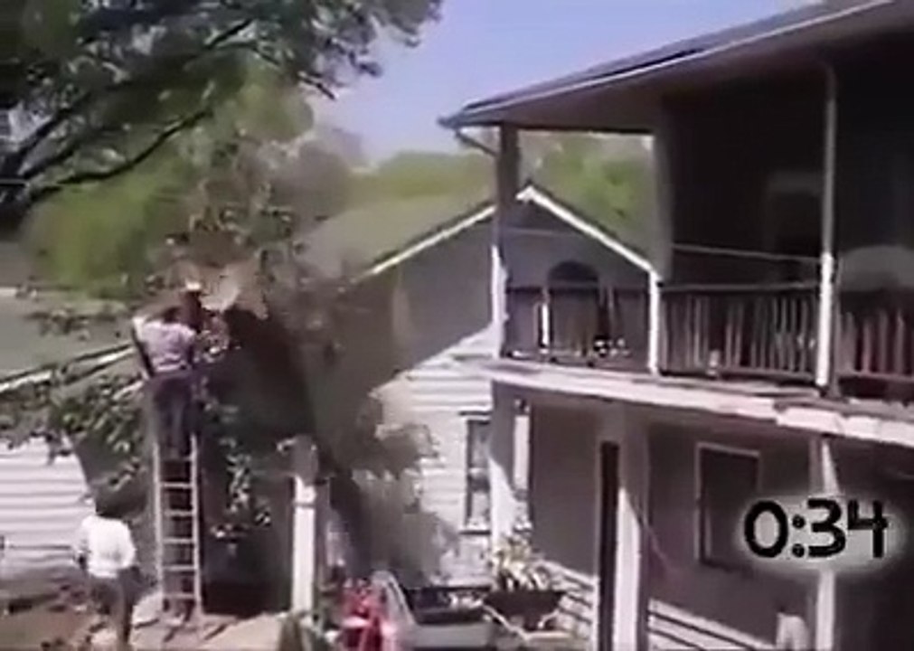 Compilation de bucherons pas futés - attention chute d'arbres