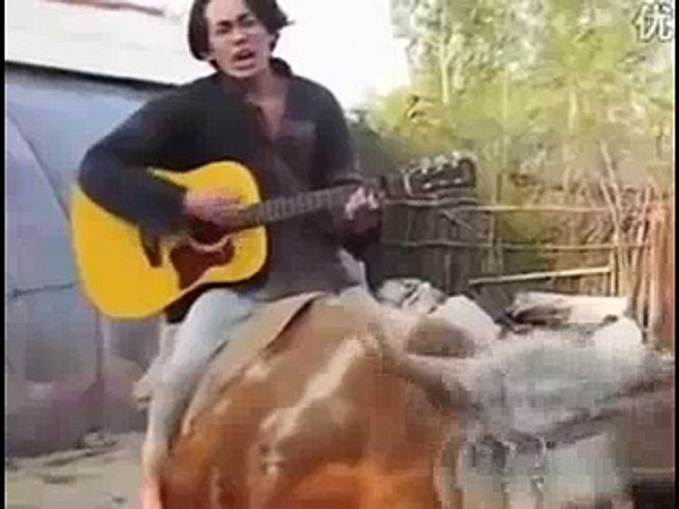 Chinese_Man_Riding_Cow_Sings_Justin_Biebers_Baby - Funny Videos