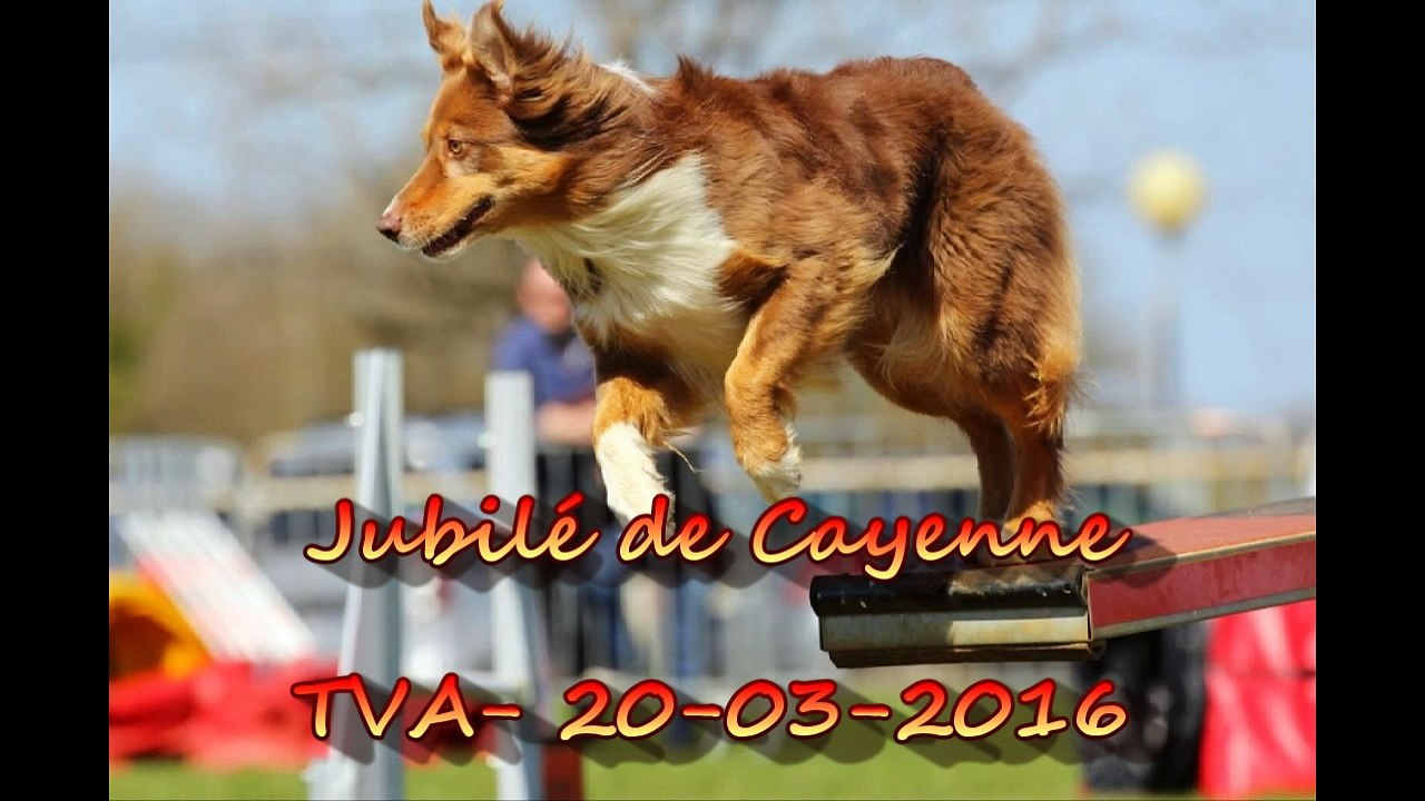 Ever Jubilée de Cayenne 20-03-2016