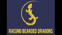 Bearded Dragon Lighting - How Lighting Affects The Health of Your Bearded Dragon