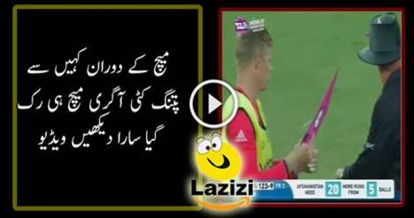 Kite During the Match