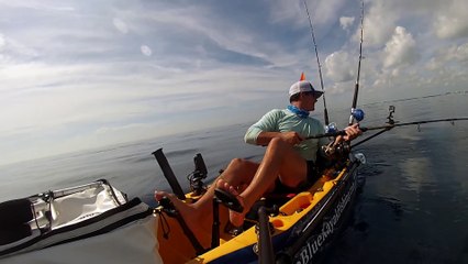 Un requin attaque le poisson d'un pêcheur en Kayak