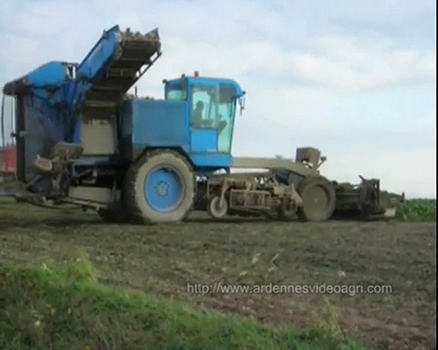 Arrachage des betteraves 2006